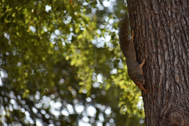 欧冠及德甲 欧冠及德甲