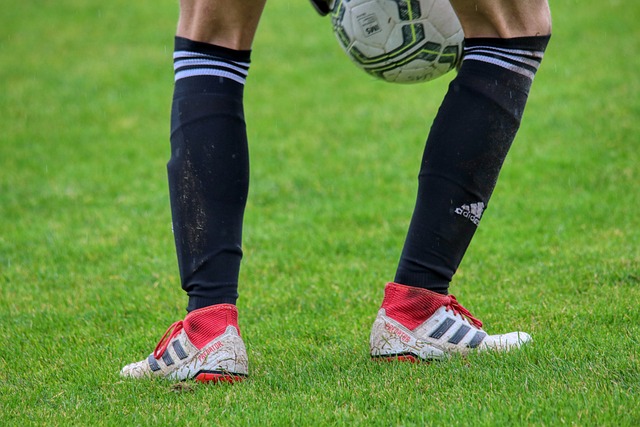 击得分的机 击得分的机