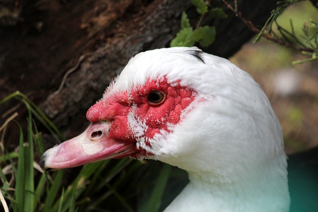 提供了更多 提供了更多