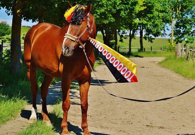 赛中已经显 赛中已经显