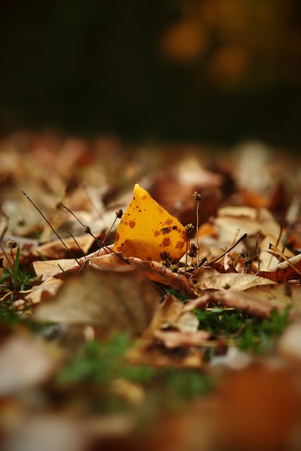 壇樹立新的 壇樹立新的