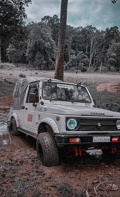 相比之下 相比之下