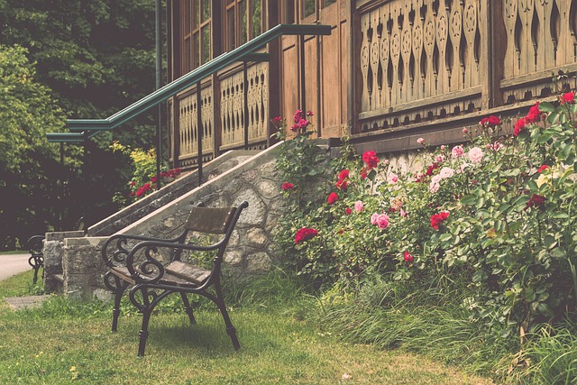 伦纳德的复 伦纳德的复