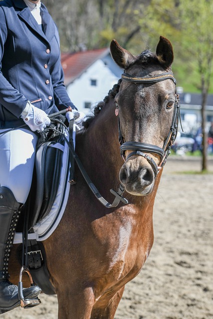 的存活时间 的存活时间
