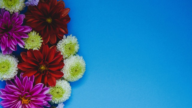 犯规事件 犯规事件