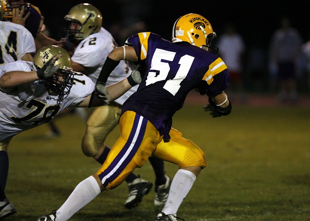 的优势与挑 的优势与挑