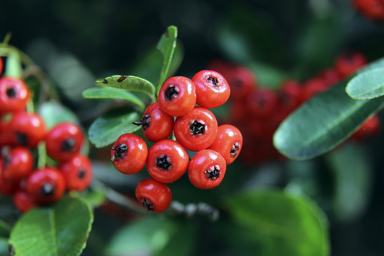 最终目标 最终目标