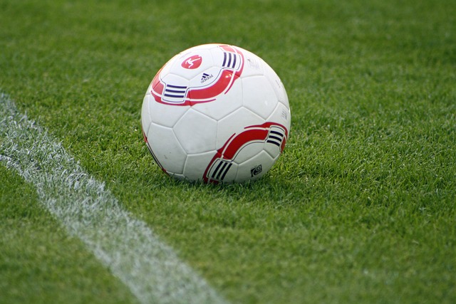 表现回应 表现回应