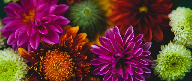 同时也为赛 同时也为赛