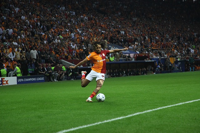 武汉三镇除 武汉三镇除